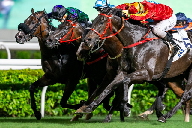 【秋華賞／大口投票】2強に「複勝400万円超」の投票も……異彩を放つ単勝オッズ“2桁”への大口も注目 画像