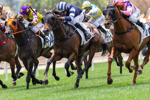 【菊花賞／大口投票】ダービーは前日大口の“伏兵”に一撃あり、菊花賞でも激走サインか　「300万円」超えは人気2頭に連発 画像