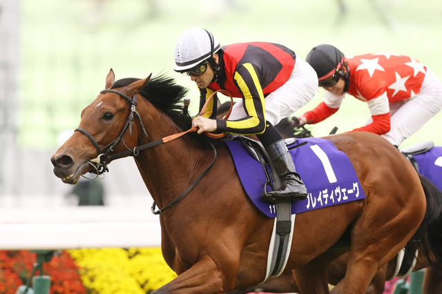 【マイルCS／大口投票】昨年は5人気1着ナミュールに“100万円”の履歴　大混戦に潜む「一撃狙い」の票は……？ 画像