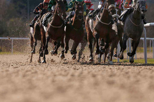 【チャンピオンズC/馬場情報】4角2番手以内が「勝利」の条件 中京ダートは例年の傾向どおり 画像