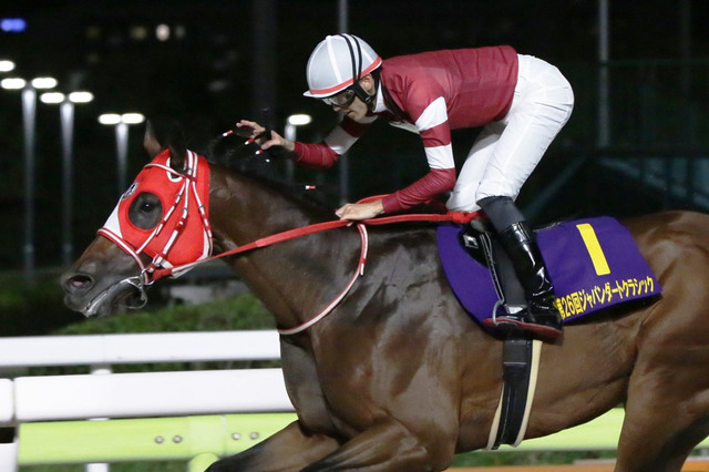 【ドバイワールドC／馬単3点】フォーエバーヤングは“世界制圧”への通過点か　前走完敗組の大駆けに要警戒 画像