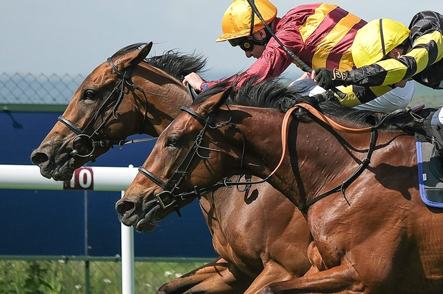 【桜花賞／穴ライズ】馬場悪化なら急浮上、前日“10人気”前後の爆穴　好メンバー相手の快勝劇と2歳時に示した道悪適性 画像