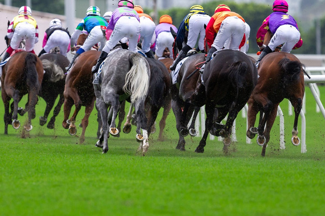 【桜花賞／馬場情報】土曜は高速馬場も日曜は雨模様　道悪で浮上する“特注”の血統は… 画像