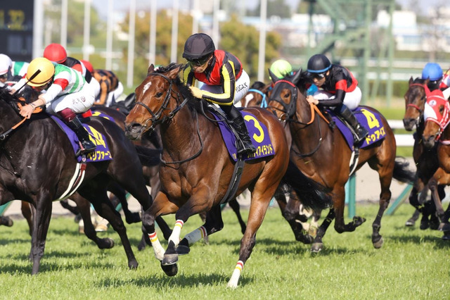 【クイーンエリザベス2世C／馬連6点】日本馬vs.ゴリアットも波乱の匂い　「4.0.1.0」の伏兵が好配当をもたらす 画像