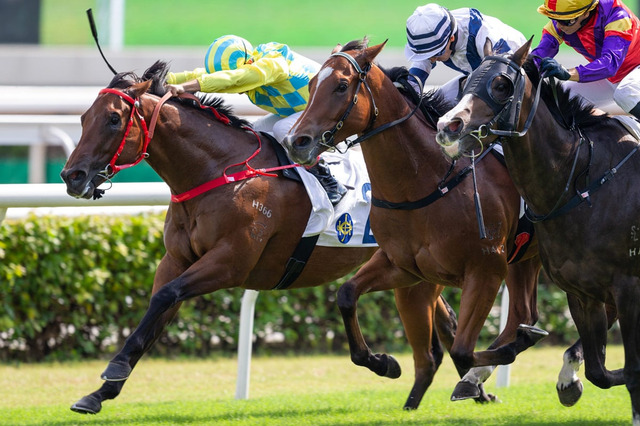 【凱旋門賞】海外ブックメーカーは前年2着アヴァンチュールと“怪物牝馬”を1番人気に　日本馬3頭のオッズは 画像
