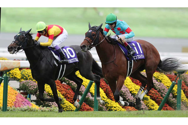 【秋華賞】ジョッキーカメラに見たカムニャックの異変と、勝敗を分けたルメール騎手の好判断に「ガチで神騎乗」の声 画像