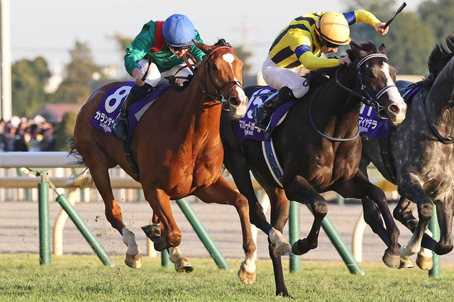 【ジャパンC】「どんなジョッキーカメラより熾烈」各馬のポジション争いにファン熱狂「バッチバチの競り合い」 画像