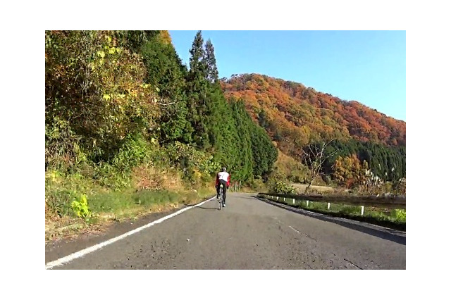 ツアー・オブ・奈良、日本の美しい紅葉を楽しむ 画像