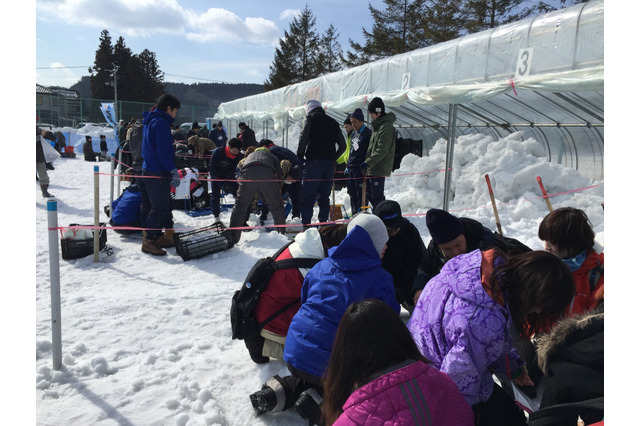 【笑顔の入り口、女子スポーツ】本格雪合戦に学ぶ、スポーツの本質 画像