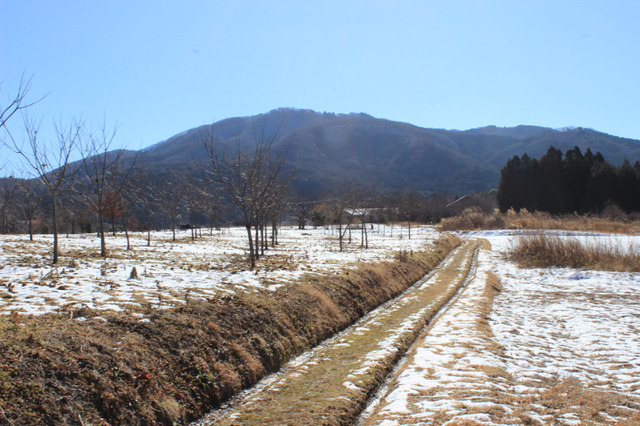 【小さな山旅】田舎道ウォーキング…吾国山（1） 画像