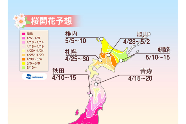 北陸や東北南部の桜は見頃に…宮城の一目千本桜は満開、兼六園は桜吹雪に期待 画像