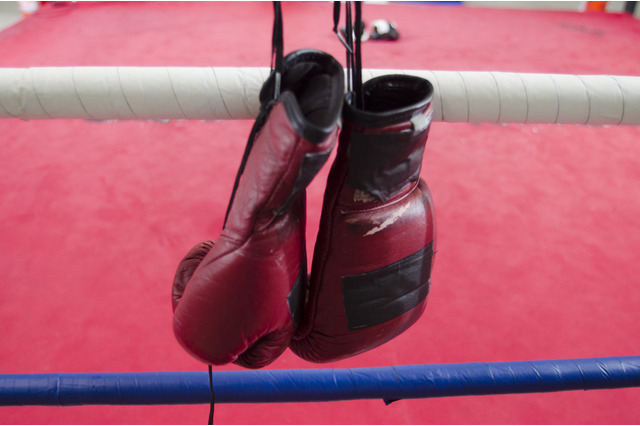 【ボクシング】ニコニコ超会議2015に「WOWOW 超ボクシング」出展…エキシビションマッチやトークショー開催 画像