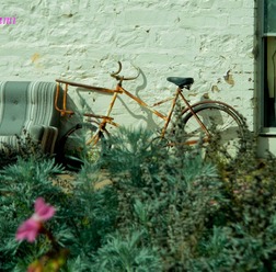 【自転車のある風景】写真アーカイブ vol.1