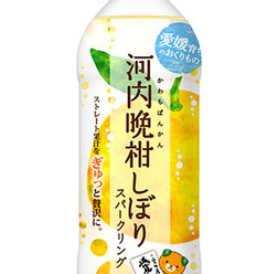 愛媛県産“河内晩柑”果汁のみを使用した炭酸飲料、「河内晩柑しぼりスパークリング」