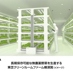 【話題】東芝、植物工場で長期保存可能な無農薬野菜を安定生産