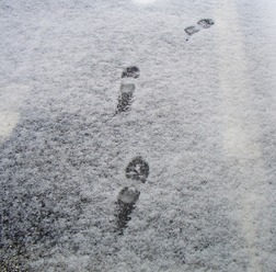 12日早朝、東京で初雪を観測　（写真はイメージ）