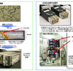 CERISE宇宙実験の概要