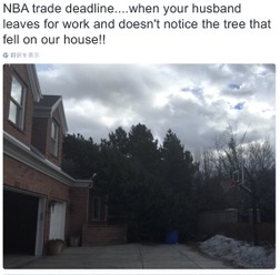 NBAチームのGMはつらいよ…仕事に没頭し過ぎ自宅の倒木に気づかず妻激怒