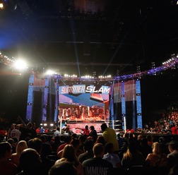 WWE 参考画像（c）Getty iamges