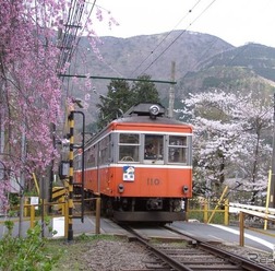 箱根登山鉄道の110号。来年2月に引退する。