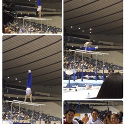田中理恵、兄・田中和仁の現役引退…「あの綺麗な体操、美しく体操は忘れられない」