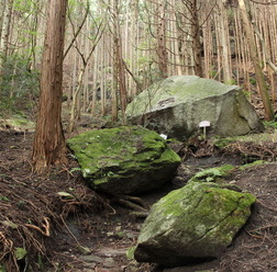 竪破山の登山道。ところどころに奇石がある。