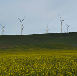 南オーストラリア州が力を注いでいる風力発電
