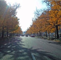 　大阪のシンボルロード「御堂筋」の道路空間利用のあり方について検討する「第一回御堂筋空間利用検討会」が12月14日に大阪市役所で行なわれた。