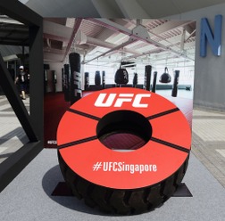 UFCファイトナイト・シンガポール 参考画像（2017年6月17日）