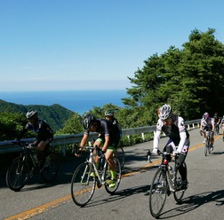 標高634mの弥彦山を登る「新潟ヒルクライム」9月開催
