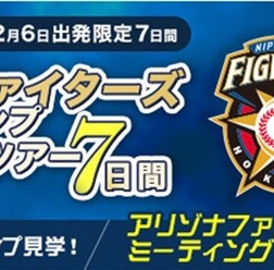 ラジオ野球解説者の白井一幸が案内する「日本ハムアリゾナキャンプ応援ツアー」発売