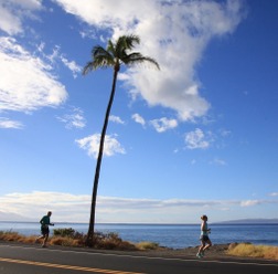 マウイの海岸線沿いを走る「マウイマラソン＆ハーフマラソン」10月開催