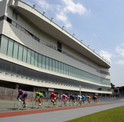 日本発祥のスポーツ競輪。9月7日の千葉サイクルフェスタでは、競輪選手による模擬レースも間近で観戦できる。