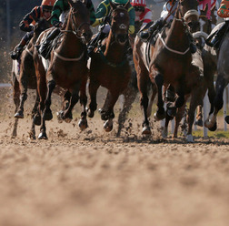 【競馬】東京大賞典はオメガパフュームが接戦を制し3連覇達成