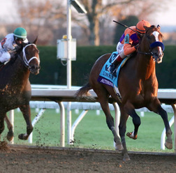 【競馬】米年度代表馬「エクリプス賞」にKダービー＆BCクラシックVのオーセンティック