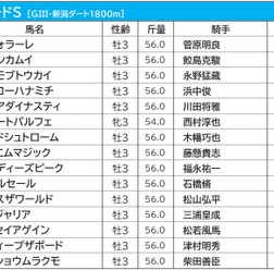 【レパードS／枠順】3連勝中のルコルセールは過去10年未勝利の6枠に　好成績の枠は要注意