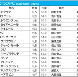 【キーンランドC／枠順】快速牝馬メイケイエールの3枠は過去10年勝利なし、複勝率はわずか5.3%