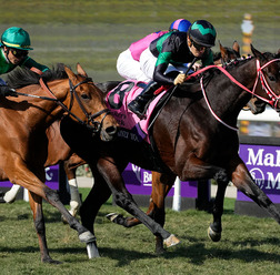 【香港カップ】今年海外GI3勝　異国の地でラヴズオンリーユーが有終の美飾る