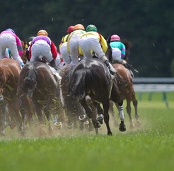 【エリザベス女王杯／馬場情報】昨年と異なり“前残り”傾向　阪神は雨予報から曇りへ