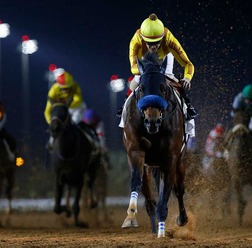 【サウジカップデー】日本馬の悲願達成なるか　サウジCはチャンピオンズC覇者ジュンライトボルトが3人気