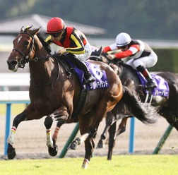 リバティアイランドで7頭目……なぜ「牝馬三冠馬」は誕生しやすいのか？