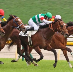 「サトノクラウンの雪辱果たすか」　タスティエーラ、新馬以来ムーアと再コンビで有馬記念へ