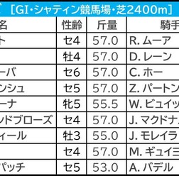 【香港ヴァーズ／馬連4点】香港勢バッサリ　“馬券内率41％”穴をあけるなら……