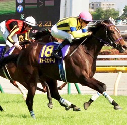 【有馬記念】枠順抽選会は本日17時よりライブ中継　タイトルホルダー、タスティエーラ、スターズオンアースら出走予定