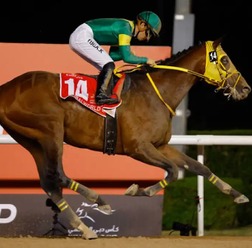 【サウジカップ2024】日本馬が“イクイノックス超え”へ　現実味帯びる「生涯獲得賞金30億円」突破