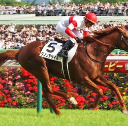 【ドバイシーマC／3連単30点】ダノンデサイルらGI馬に立ちはだかる“日本馬キラー”　英国勢2騎も不気味