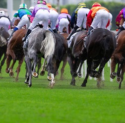 【皐月賞／馬場情報】怪時計連発の“超高速”Cコース開催　時計勝負に強い有力馬と穴馬、そしてドンピシャ特注馬