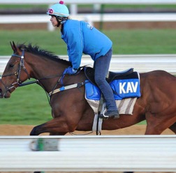 【NHKマイルC／追い切り診断】アドマイヤズームを超える「S」の最高評価　追わせるタイプが僚馬アオり倒す、本領発揮で「一発の魅力」