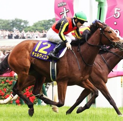 【優駿牝馬（オークス）2025特集】「エンブロイダリーvs.アルマヴェローチェの2強対決か」出走予定・枠順、予想オッズetc.