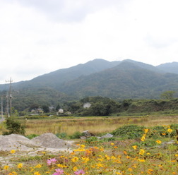 奥にそびえ立つのが加波山。数多くの神が祀られており、山岳信仰のある霊場である。